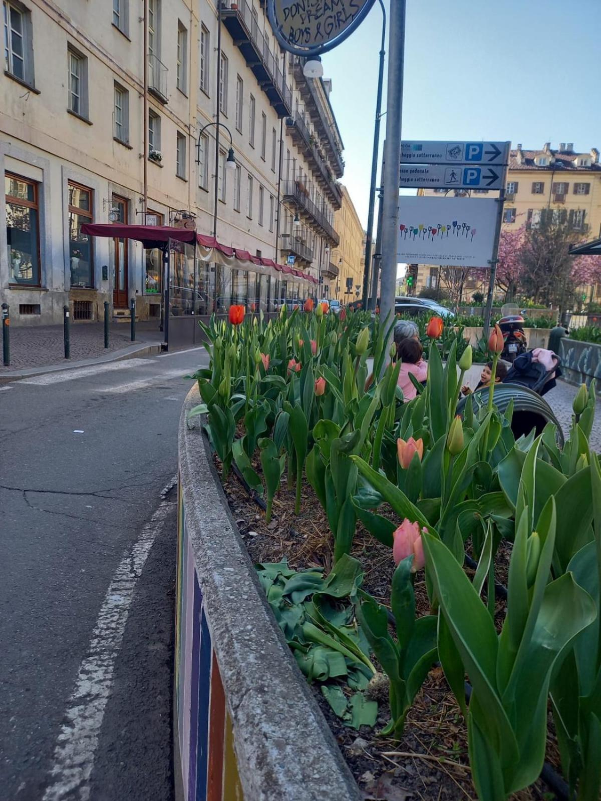 Centralissimo Nel Cuore Del Quadrilatero Di Torino Extérieur photo